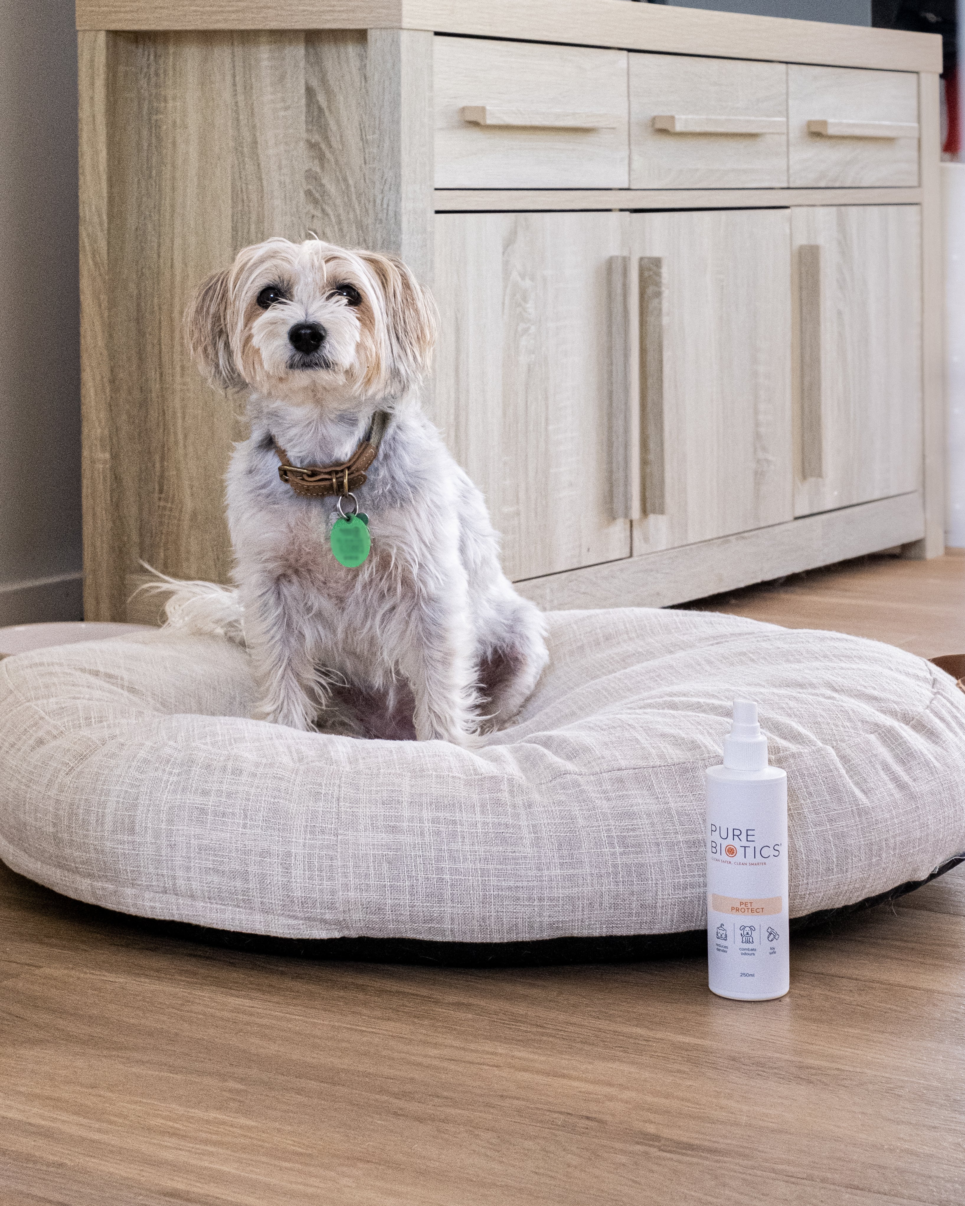 Biotics for hot sale dogs